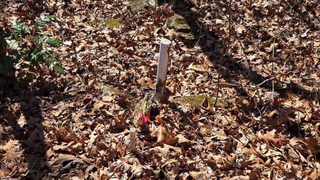 Lt 11 Mountain Laurel Est., Young Harris, GA 30582