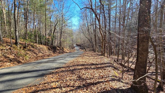 Lt 11 Mountain Laurel Est., Young Harris, GA 30582