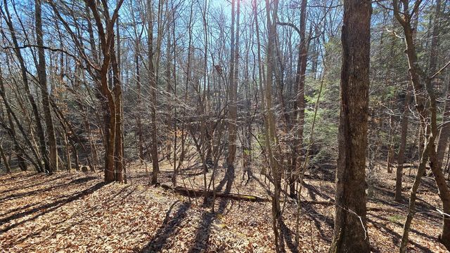 Lt 11 Mountain Laurel Est., Young Harris, GA 30582