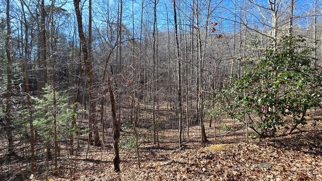 Lt 11 Mountain Laurel Est., Young Harris, GA 30582