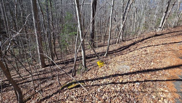 Lt 11 Mountain Laurel Est., Young Harris, GA 30582