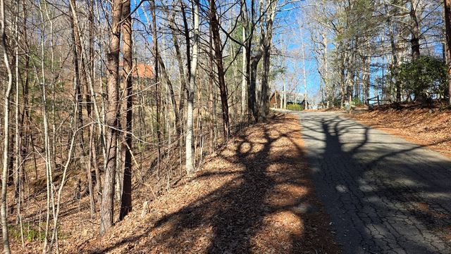 Lt 11 Mountain Laurel Est., Young Harris, GA 30582