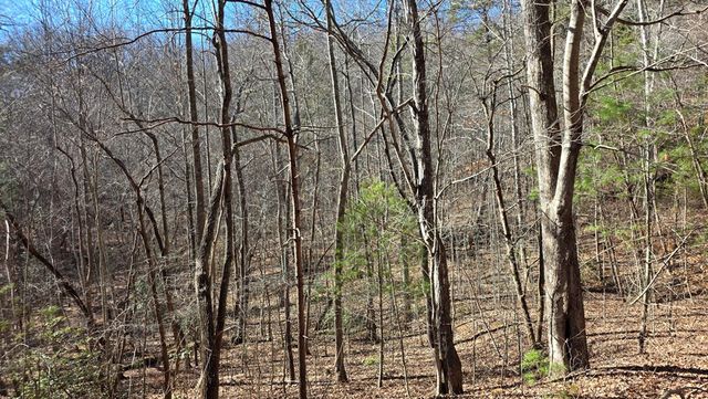 Lt 11 Mountain Laurel Est., Young Harris, GA 30582