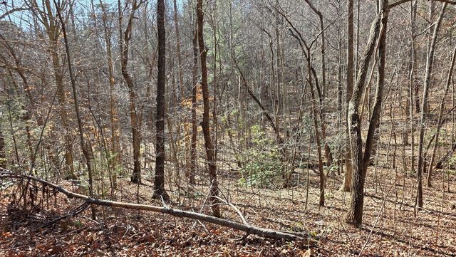 Lt 11 Mountain Laurel Est., Young Harris, GA 30582