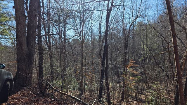 Lt 11 Mountain Laurel Est., Young Harris, GA 30582