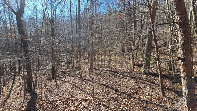 Lt 11 Mountain Laurel Est., Young Harris, GA 30582