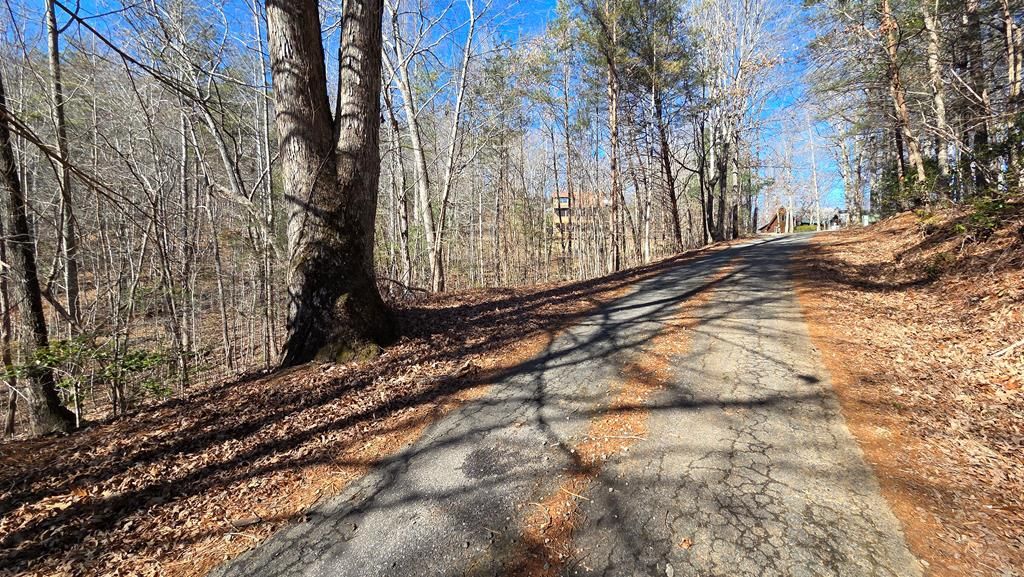 Lt 11 Mountain Laurel Est., Young Harris, GA 30582