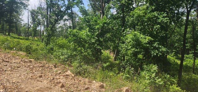 Lot 7 Restore Ridge, Harrison, AR 72601