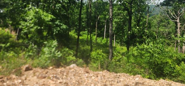 Lot 7 Restore Ridge, Harrison, AR 72601