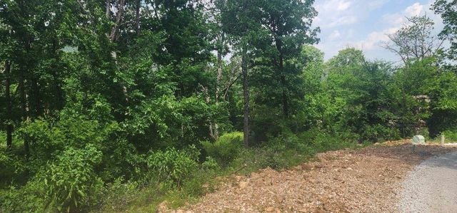 Lot 7 Restore Ridge, Harrison, AR 72601