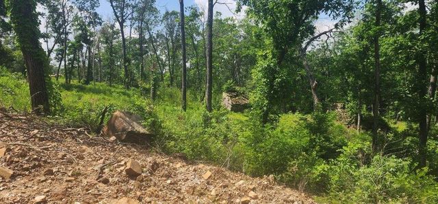 Lot 7 Restore Ridge, Harrison, AR 72601