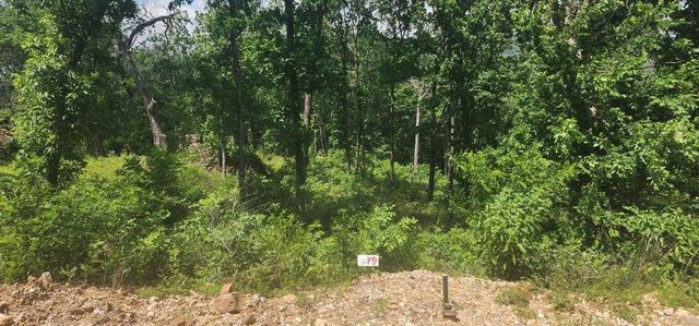 Lot 7 Restore Ridge, Harrison, AR 72601