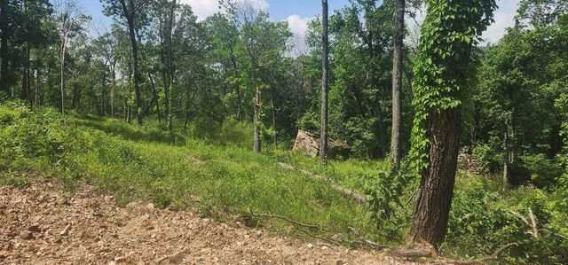 Lot 7 Restore Ridge, Harrison, AR 72601