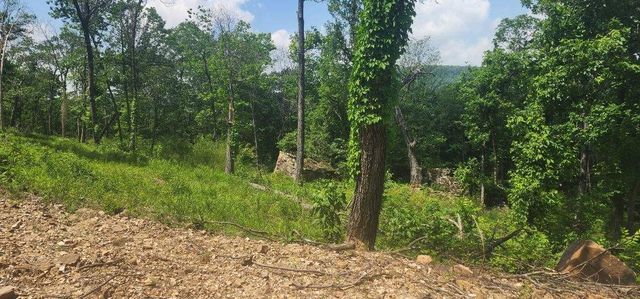 Lot 7 Restore Ridge, Harrison, AR 72601