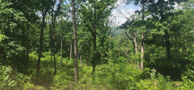 Lot 7 Restore Ridge, Harrison, AR 72601