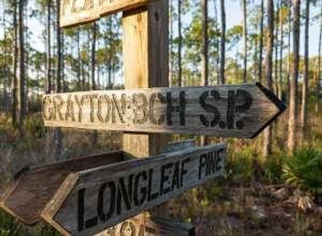Lot 35 E Georgie Street, Santa Rosa Beach, FL 32459