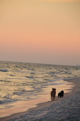 Lot 35 E Georgie Street, Santa Rosa Beach, FL 32459