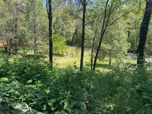 10761 Texas Hill Rd, Dobbins, CA 95935