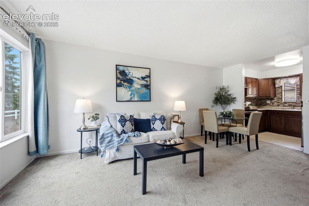 5535 Tomah Drive, Colorado Springs, CO 80918 — photo 5