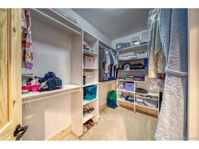 3561 Singletree Rd, Hartsel, CO 80449