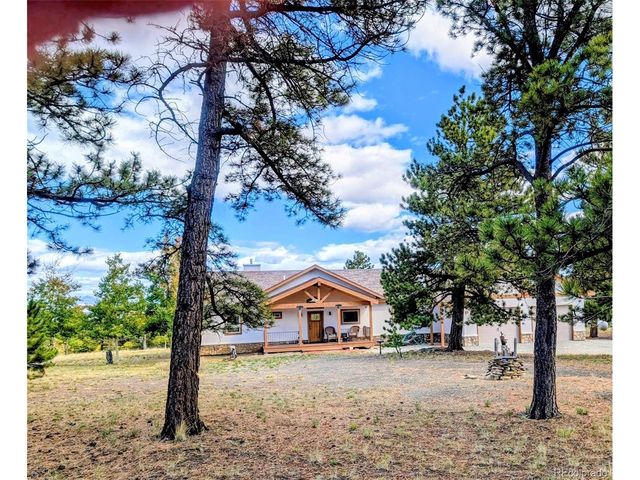3561 Singletree Rd, Hartsel, CO 80449