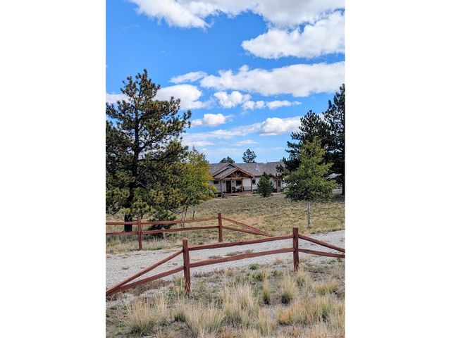 3561 Singletree Rd, Hartsel, CO 80449