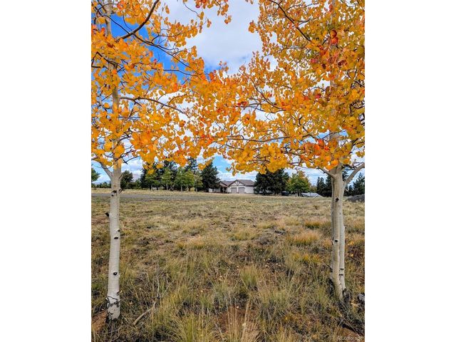 3561 Singletree Rd, Hartsel, CO 80449