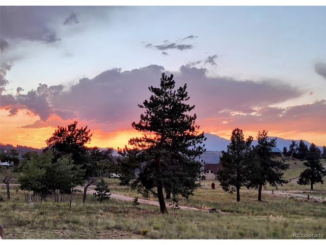 3561 Singletree Rd, Hartsel, CO 80449