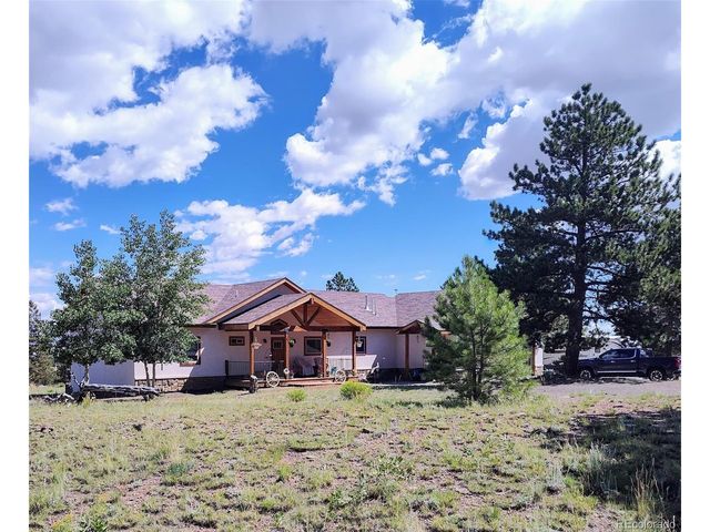 3561 Singletree Rd, Hartsel, CO 80449