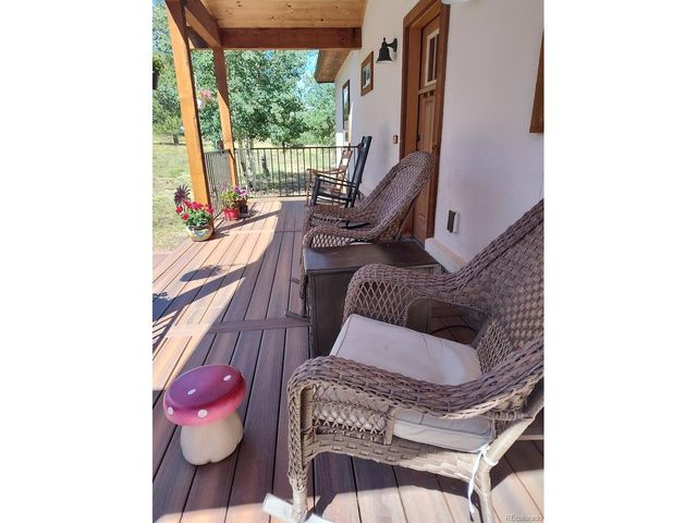 3561 Singletree Rd, Hartsel, CO 80449