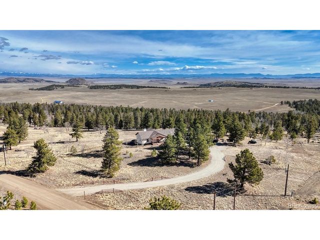 3561 Singletree Rd, Hartsel, CO 80449