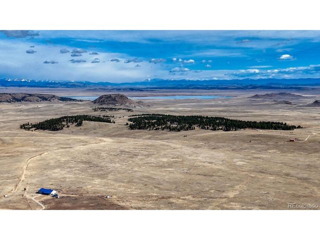 3561 Singletree Rd, Hartsel, CO 80449