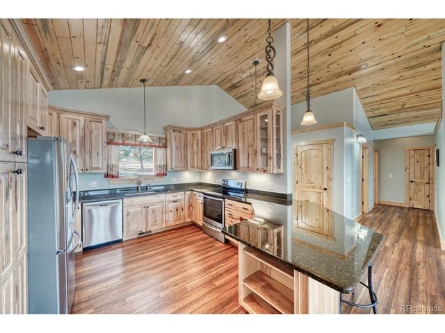 3561 Singletree Rd, Hartsel, CO 80449