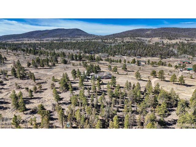 3561 Singletree Rd, Hartsel, CO 80449