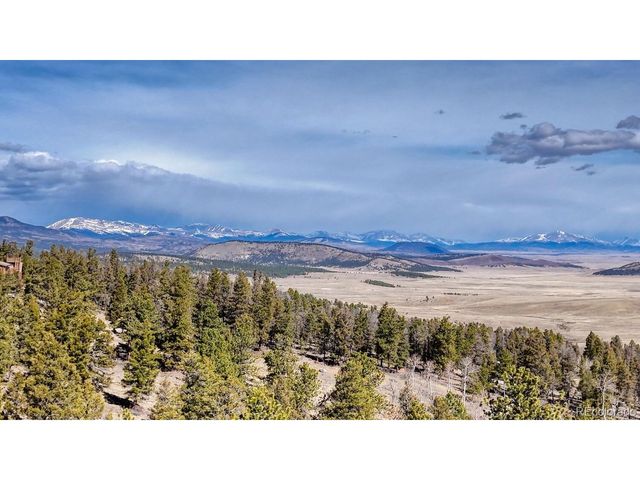 3561 Singletree Rd, Hartsel, CO 80449