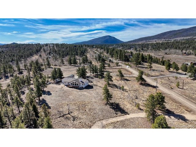 3561 Singletree Rd, Hartsel, CO 80449
