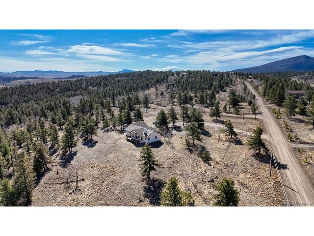 3561 Singletree Rd, Hartsel, CO 80449