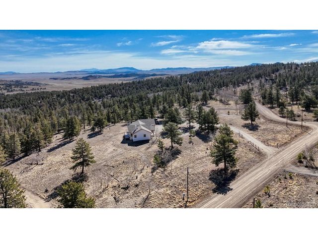 3561 Singletree Rd, Hartsel, CO 80449