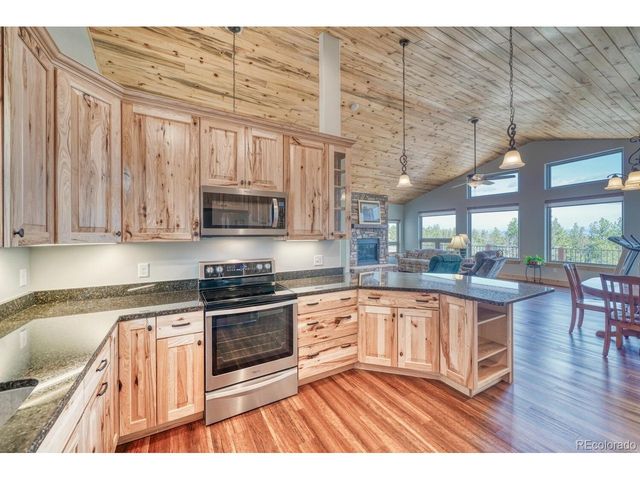 3561 Singletree Rd, Hartsel, CO 80449