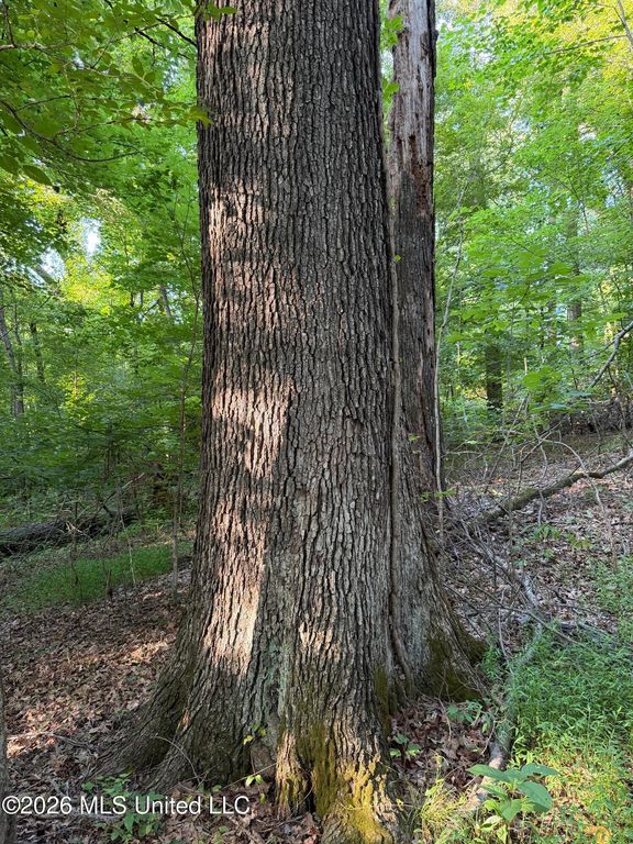 2000 Sparks Road, Lake Cormorant, MS 38641 — photo 2