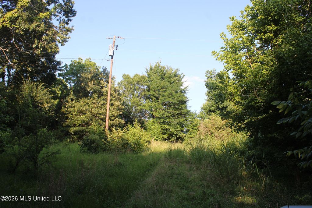 2000 Sparks Road, Lake Cormorant, MS 38641 — photo 3