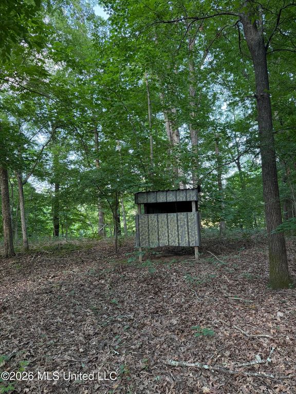 2000 Sparks Road, Lake Cormorant, MS 38641 — photo 5