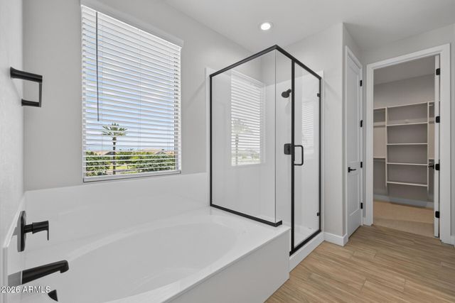 3298 W Molino Road, San Tan Valley, AZ 85144