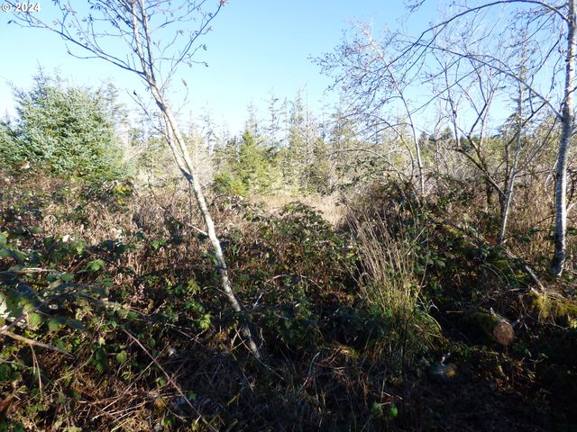 VL MCCORMICK GARDENS Rd, Gearhart, OR 97138