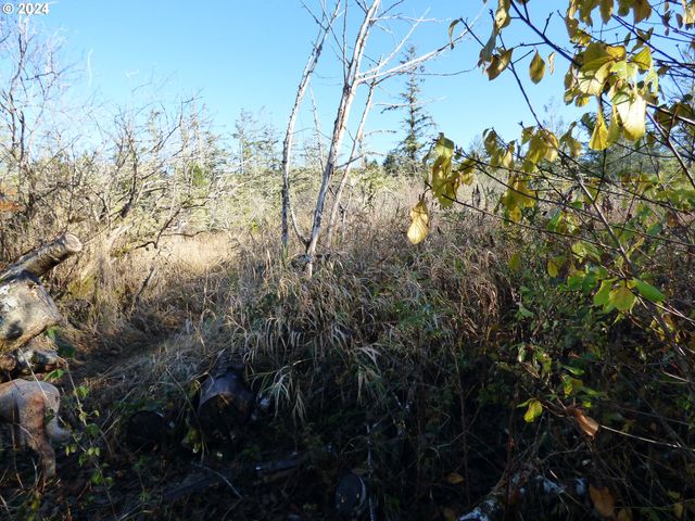 VL MCCORMICK GARDENS Rd, Gearhart, OR 97138