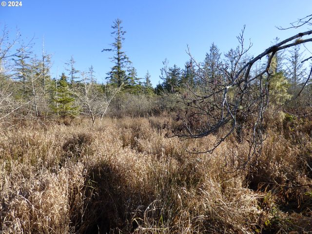 VL MCCORMICK GARDENS Rd, Gearhart, OR 97138