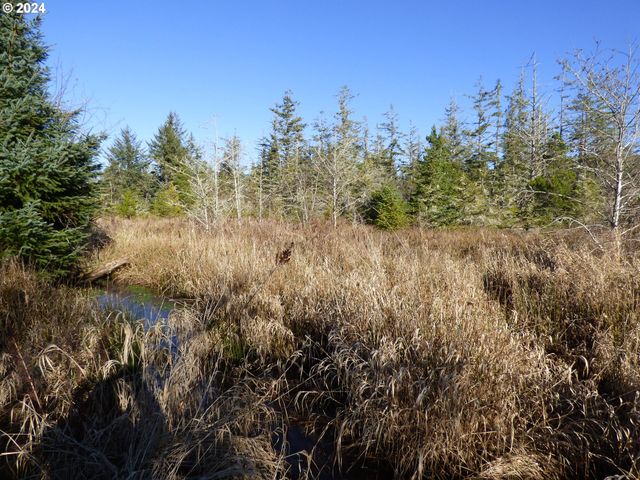 VL MCCORMICK GARDENS Rd, Gearhart, OR 97138