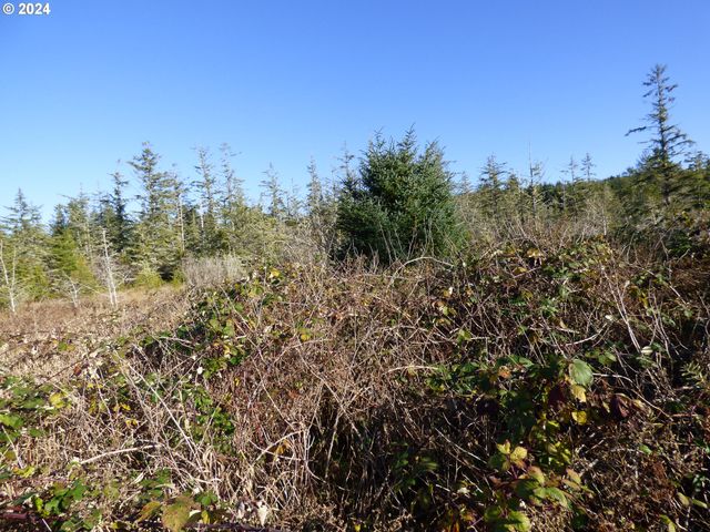 VL MCCORMICK GARDENS Rd, Gearhart, OR 97138