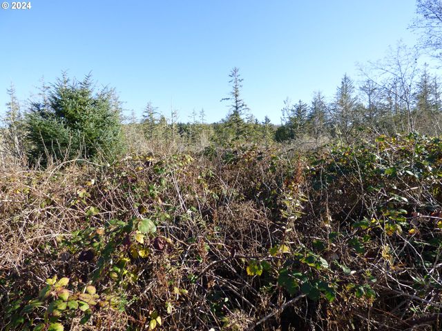 VL MCCORMICK GARDENS Rd, Gearhart, OR 97138