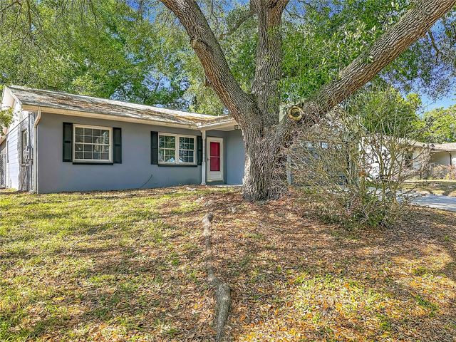 11225 TAFT LANE, Seffner, FL 33584